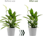 12 Pack Plant Support Stakes with 24 Pcs Clips, Half Round Ring Plastic Cage Holder Flower Pot Climbing Trellis for Small Vegetable,Indoor Plants