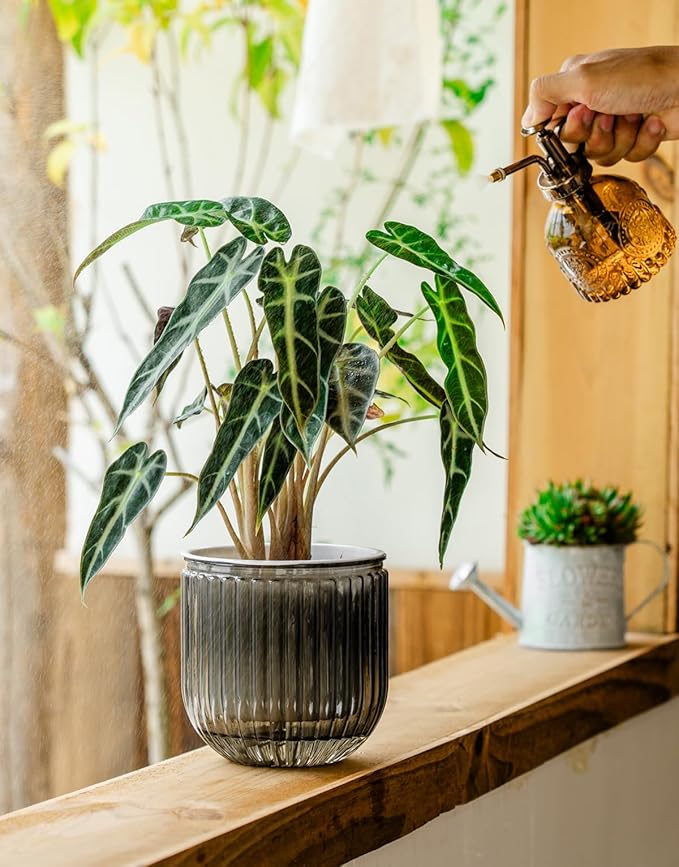 Melphoe Self Watering Pots for Indoor Plants Planter, 8.3/5.3 Inch 2 Pack Planters Self Watering Plant Pots for Flower, Houseplants, Succulent, African Violets and Cactus with Drainage
