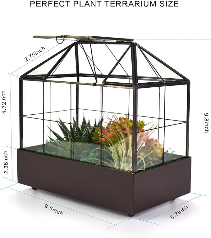 Terrarium House Shape Glass Greenhouse with Black Brass Frame and Tray