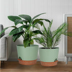 12inch Large Self Watering Plant Pot, Plastic Cylinder Planter with 60Oz Deep Reservoir and Saucer for Indoor Outdoor Plants Flowers Houseplants, Green with Brown