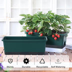 Window Box Planter 8 Pcs, 17 Inches Rectangle Flower Pots with Drainage Holes & Trays, Vegetable Planters for Windowsill Patio Garden Balcony Home Indoor Outdoor (Dark Green, 16 * 7 * 6 inch)