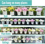 LaLaGreen 6 Inch Hanging Planter Iron - 10 Pack, White Large Metal Flower Pot Over Rail Balcony Railing Hanging Buckets for Plants Outdoor Fence Wall Herb Garden Succulent Outside Deck Patio Porch