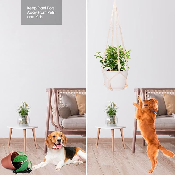 RIFNY Macrame Plant Hanger Indoor, 35 Inch Hanging Plant Holder with Hooks, Large Boho Hanging Basket Plant Hanger for Wall Window Ceiling Plants Decor (White, 1PC)