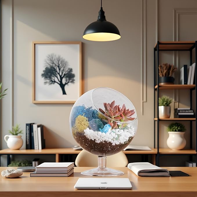 Glass Terrarium Kit with Oval Modern Design and Reindeer Moss