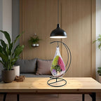 Teardrop Terrarium Kit with Stand, Moss & Pebbles