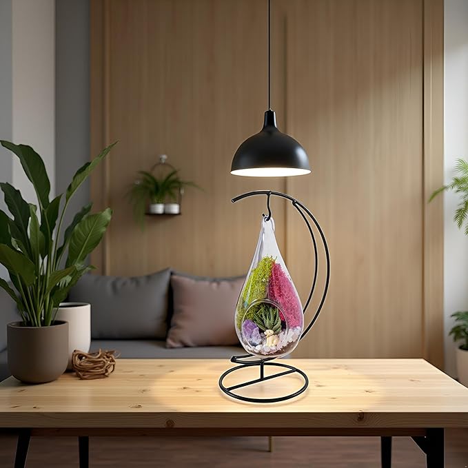Teardrop Terrarium Kit with Stand, Moss & Pebbles