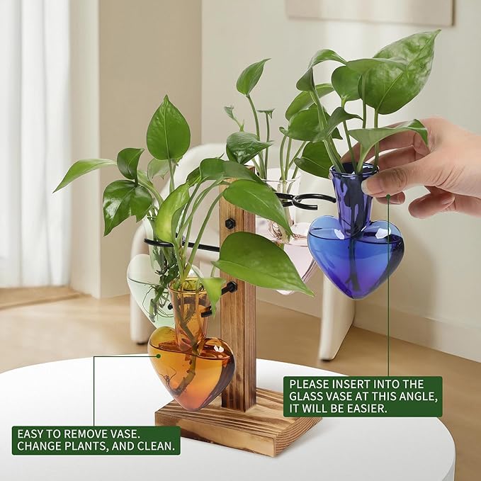 Terrarium Plant Propagation Station, Heart Glass with 4 Hangers