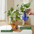 Terrarium Plant Propagation Station, Heart Glass with 4 Hangers