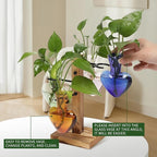 Terrarium Plant Propagation Station, Heart Glass with 4 Hangers
