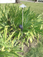 Solar Garden Stake Lights with Color Changing LED or Regular White LED Landscape Path Lights (Set of 2) (Turtle)