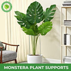 LEOBRO 24 Inch Plant Support Stakes, 6PCS Plant Stakes, Peony Cages and Supports, Garden Stakes, Plant Supports for Outdoor Plants Indoor Plants, Monstera Tomato Hydrangea Support Cage, 10" W x 24" H