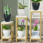 Self Watering Pots Set, 5 Pack 6 Inch Self Watering Pots for Indoor Outdoor Plants, Plastic Planter with Drainage Holes and Deep Reservoir for African Violet, Spider, Orchid