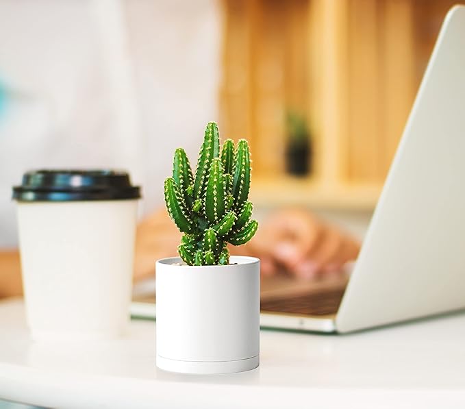 Planter Pots 12 Pack, 3 Inch Matte White Plastic with Saucers
