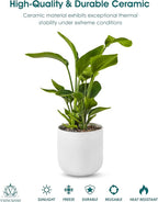 vancasso 8 Inch Ceramic Plant Pots, Planters with Drainage Hole, Flower Pots Planters Pots for Indoor Plants, Modern Indoor Decorative Garden Pot, Home Decor, White