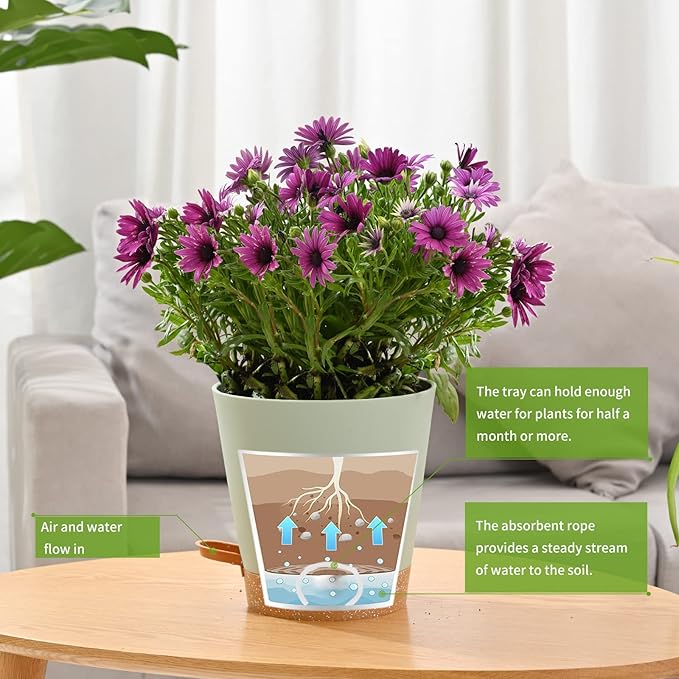 Plant Pots 6 PCS 5 inch Self Watering Planters High Drainage Flowers Pot for Indoor Outdoor Plants with Reservoir Tray and Watering Lip Gardening Planter Garden Flower Pots, Green
