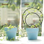 Mirthdino Premium Hoya Trellis - Unique Metal Plant Support for Climbing Plants - Set of 3 Different Sizes - Ideal for Indoor and Potted Plants