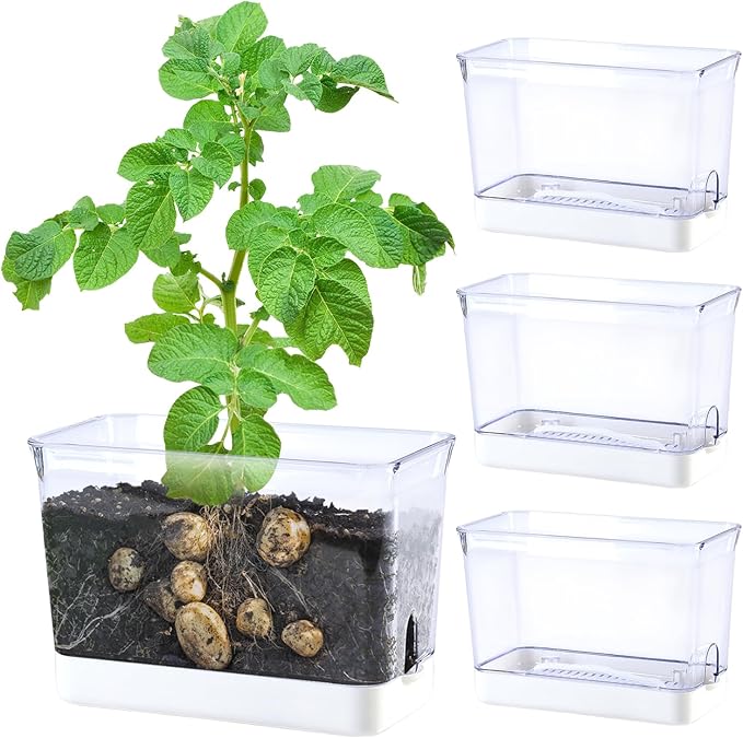 Self Watering Planters - 4 Pack Rectangular Clear Plant Pots with Drainage Holes for Indoor Plants