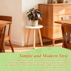 Plant Stand Indoor/Outdoor for Plants,Wood White Planter Stands Holder Mid Century Pedestal Shelf,Sturdy Short Flower Rack Boho Short Plant Table 15.7"Tall Wooden Plants Stool for Garden,Patio