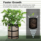 10 Gallon Potato Grow Bags with Viewing Window, 300G Nonwoven Garden Planting Pots, Heavy-Duty Surround Handles for Gardening Supplies (6Pack Grow Bags)