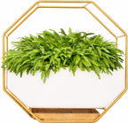 IRYL Wall Planter for Indoor Plants - Ceramic Wall Hanging Planter Set with Bamboo Tray & Hooks - Decorative Wall Plant Holder - Modern Wall Planters for Vertical Garden Home Decor - Golden