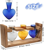 Terrarium Set with 3 Heart Shaped Glass Vases and Wood Stand