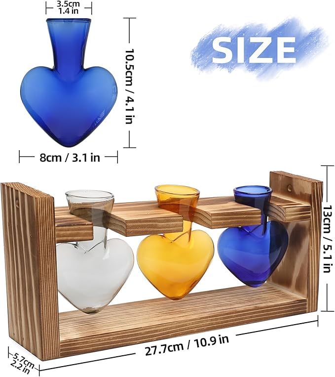 Terrarium Set with 3 Heart Shaped Glass Vases and Wood Stand