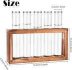Terrarium Propagation Station, 5 Clear Glass Tubes with Pine Wood Stand