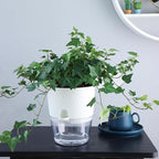 6Inch Self Watering Planter Pots 4 Pack Plant Pot for Indoor Wicking Flower Pots Plant Pots Modern Decorative Planter for Small African Violets House Plants,Herbs,Indoor Outdoor Plant (White)