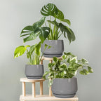 G EPGardening Ceramic Plant Pots - 9 Inch Modern Round Planter with Drainage and Plant Saucer for Indoor Outdoor Flower, Apartment Decor, Birthday Gifts, Grey