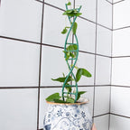 Indoor Plant Trellis for Potted Plants - Upgraded Metal Spiral Design for Climbing Plants, Durable Powder Coated Support for Small Houseplant Pots, Ideal for Indoor & Outdoor Use