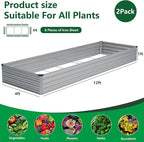 Vengarus 2 Pack 12x4x1FT Galvanized Raised Garden Bed Kit, Outdoor Metal Planter Box for Vegetables, Rectangular Steel Container, Easy Assembly (Sliver)