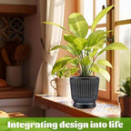 Set of 6 Self Watering Plant Pot 3 Sizes Plastic Double Layer Self Watering Flower Pot with Multi Mesh Drainage Holes Wicking Reservoir for Indoor Outdoor Garden Plants(Black)