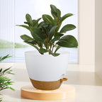 12 inch Large Self Watering Pots, Flower Plant Pots with Drainage Holes for Indoor Outdoor Garden Plants, Plastic Planters with Removable Deep Reservoir, White with Brown