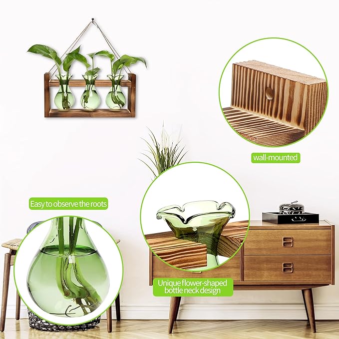 Terrarium Set with Three Green Bulb Glass Bottles and Wooden Stand