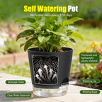 Plant Pots 6 Inch Self Watering Pots,6 Pack Plastic Planters with Drainage Holes and Clear Saucers,Plastic Flower Pots,Nursery Planting Pot for Indoor Out Door Plants (Black)