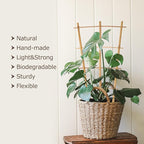 Bamboo Trellis 10 Pack, 16in Fan-Shaped Plant Trellis Indoor for Climbing Plants