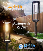 Solar Pathway Lights Outdoor Warm White 8-Pack Waterproof IP65, Auto On/Off Solar Powered Walkway Lighting for Driveway Yard Garden, Upgraded Landscape Lights Outside