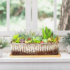 Succulent Pots - 12 Inch Large Succulent Planters with Drainage Tray, Window Sill Planter, Long Rectangle Ceramic Pots for Indoor Cactus Plants Shallow Bonsai Window Box for Home Garden Decor