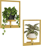 Bamworld Gold Plant Stand Indoor, Plant Hanger Wall Planters for Indoor Plants Window Plant Shelves Plant Holder Wall Decor, Room Decor (Patent Design)