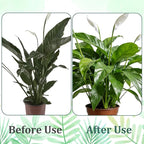 Grevosea 5 Pack Plant Support Stakes, Stackable Monstera Plant Supports for Indoor Outdoor Plants Garden Stakes Trellis for Climbing and Potted Plants Pothos Flowers