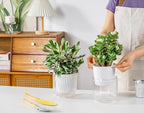 Melphoe Self Watering Pots for Indoor Plants Planter, 5.3 Inch 2 Pack Planters Self Watering Plant Pots for Flower, Houseplants, Succulent, African Violets and Cactus with Drainage