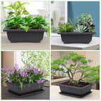 Bonsai Pot Set, 9 Inch Black Plastic, 3 Pack with Drainage Holes