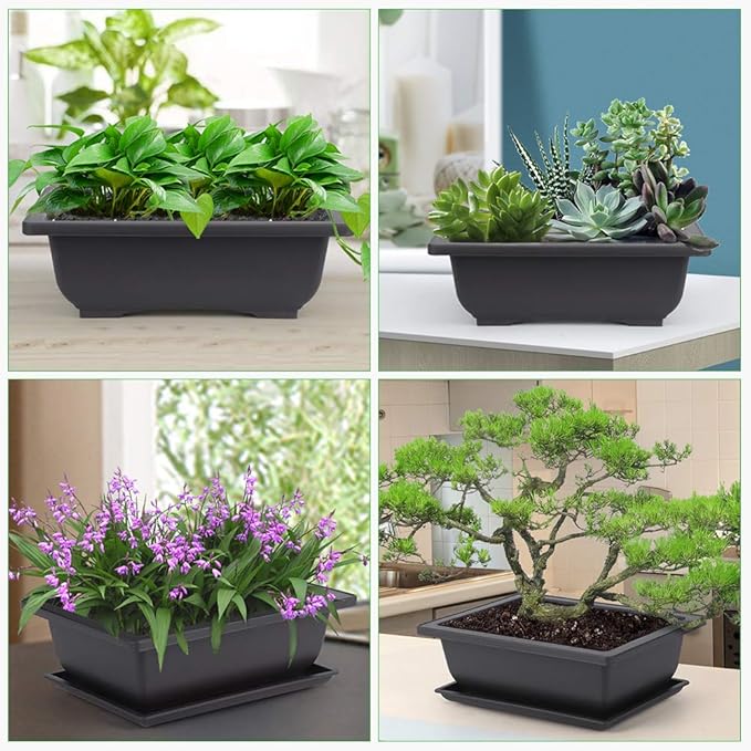 Bonsai Training Pots 9 Inch Black Plastic with Drainage Trays