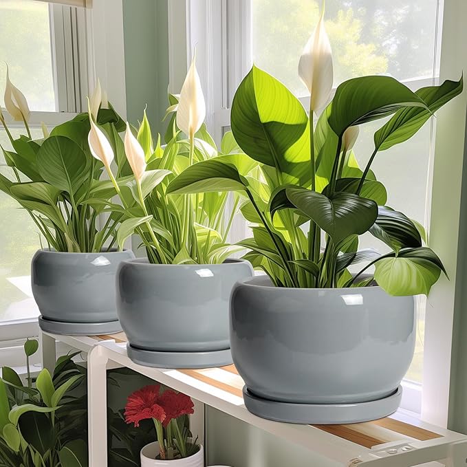 SQOWL 10 Inch Plant Pot - Ceramic Planter for Indoor Plants, Round Ceramic Flower Pot with Drainage Hole and Saucer, Modern Large Outdoor Planter, Room Decor, Housewarming Gifts, Gray