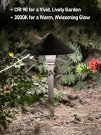 LEONLITE Low Voltage Landscape Lights, 3W 12V Pathway Lighting Wired, IP65 Waterproof Light for Yard Lawn, ETL Listed, Bronze Aluminum Housing, 5000K Daylight, Pack of 4
