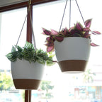 10 Inch Self Watering Hanging Pots, 2 Pack Hanging Planters with 40oZ Deep Reservior for Indoor Outdoor Plants Flowers, White with Brown