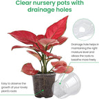 36 Packs 7/5/4/3.5 Inch Reinforced Clear Nursery Pots with Drainage Hole, Transparent Variety Pack Plastic Plant Pot Seedling Planter for Vegetable Propagation, Root Cutting, Seed Starting
