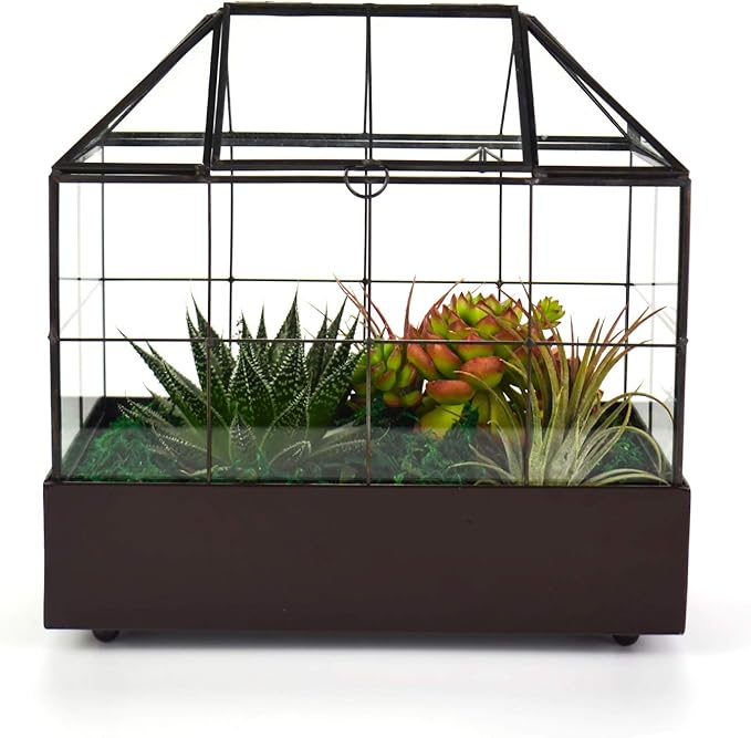 Terrarium House Shape Glass Greenhouse with Black Brass Frame and Tray