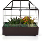 Terrarium House Shape Glass Greenhouse with Black Brass Frame and Tray