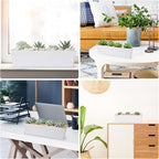 GREANER Window Boxes Planters, 3PCS 16x3.8 Inch Large Herb Planters with Tray, Indoor Succulent Cactus Flowers Vegetable Plastic Rectangle Pots for Balcony, Office, Garden, Outdoor, Windowsill (White)